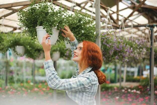 Принципы работы фитоламп