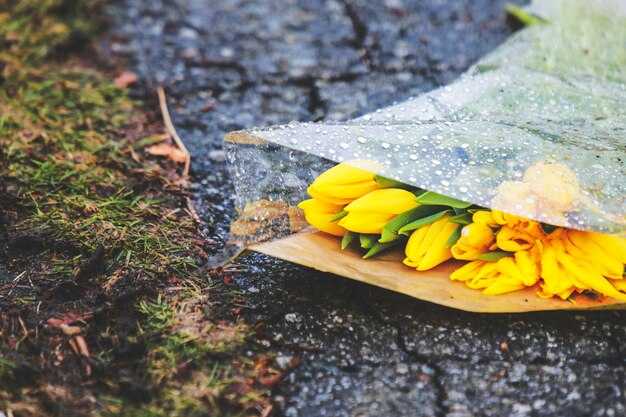 Натуральные и искусственные покрытия: что выбрать?