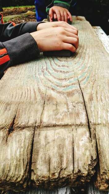 Подготовка древесины к обработке