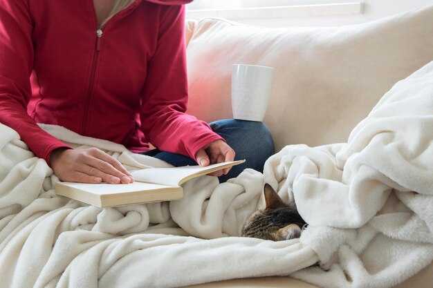 Параметры выбора одеяла на все сезоны