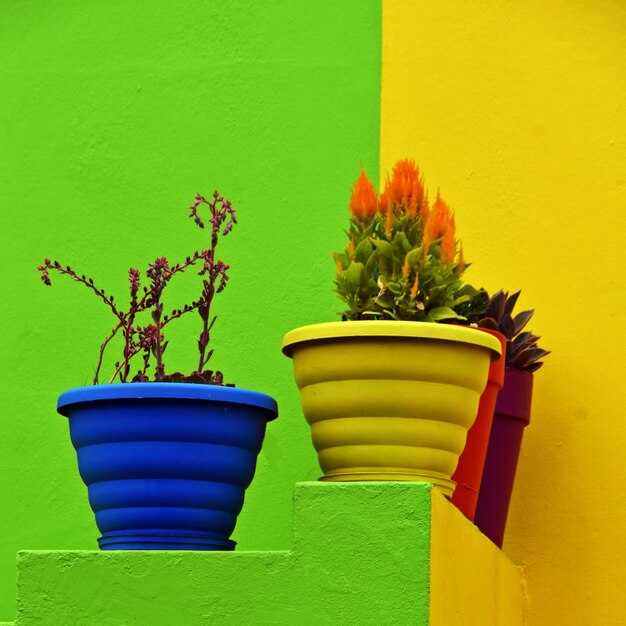 Зеленый и оранжевый: создание гармонии в вашем доме